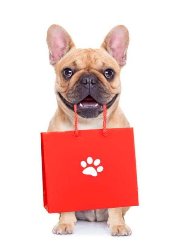 french bulldog  dog with shopping bags ready for discount and sale at the  mall, isolated on white background